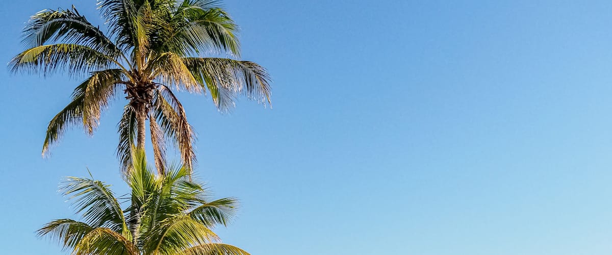 Colorful blue and yellow lifeguard station on beach with palm trees and blue sky copy space.