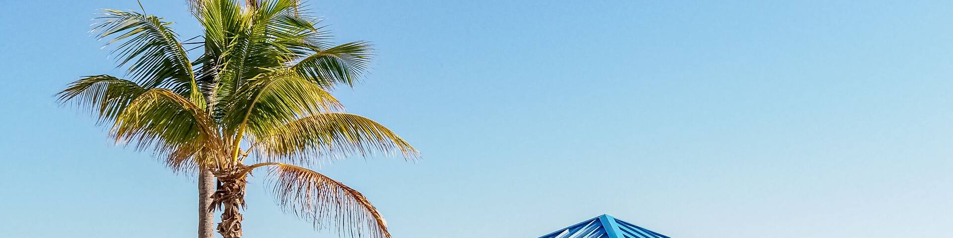 Colorful blue and yellow lifeguard station on beach with palm trees and blue sky copy space.