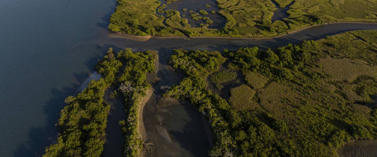 Aerial view of the Matanzas River snaking through the marshland, a tapestry of greens and blues, where water meets land in a dance of light and shadow, St Augustine, Florida, United States.