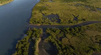 Aerial view of the Matanzas River snaking through the marshland, a tapestry of greens and blues, where water meets land in a dance of light and shadow, St Augustine, Florida, United States.