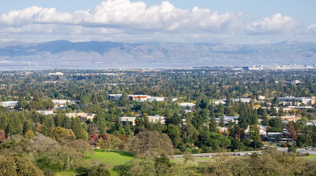 Sunnyvale West
