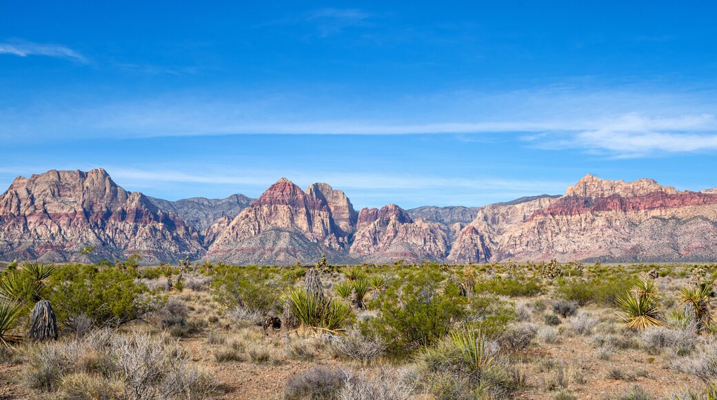 Red Rock Canyon National Conservation Area in Nevada