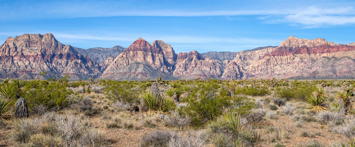 Red Rock Canyon National Conservation Area in Nevada