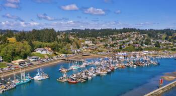 Aerial of harbor in Newport, Oregon