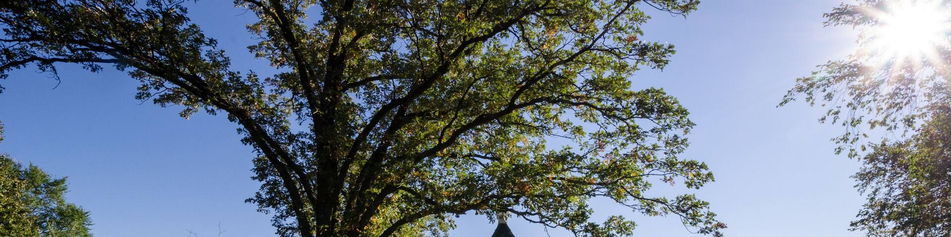 Beautiful view of a gazebo patio deck in the fall along Minnesota Lake Minnetonka in the Twin Cities. Sun burst in photo