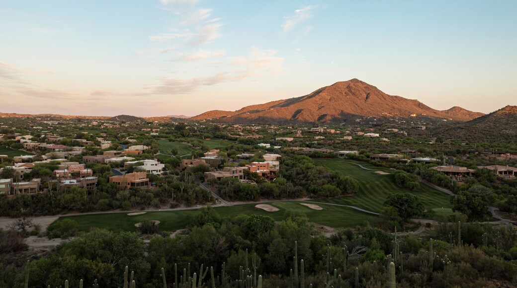 بارادايس هيلز