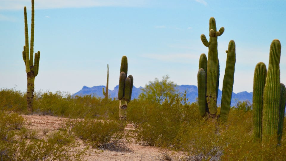 Queen Creek, Arizona
