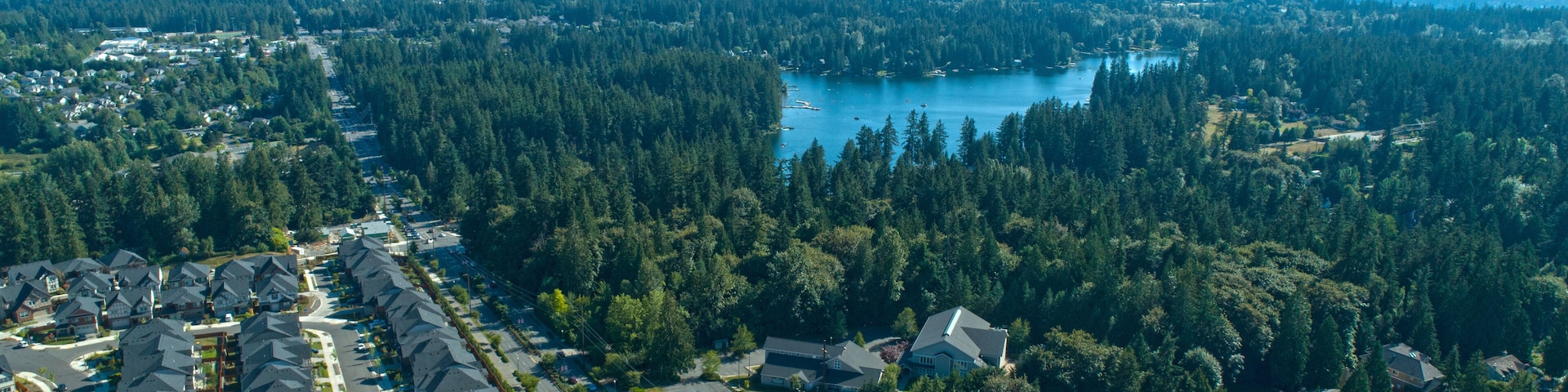 Pine Lake Neighborhood Sammamish Washington USA Aerial View