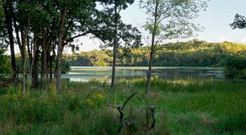 Woodlands and Marshes of Normandale Lake