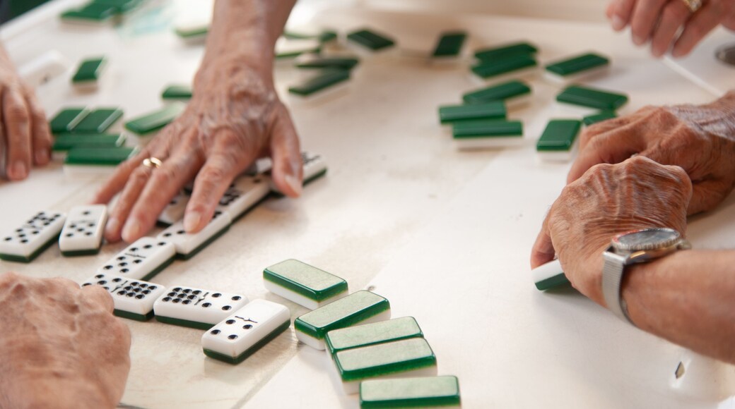 playing domino Calle ocho