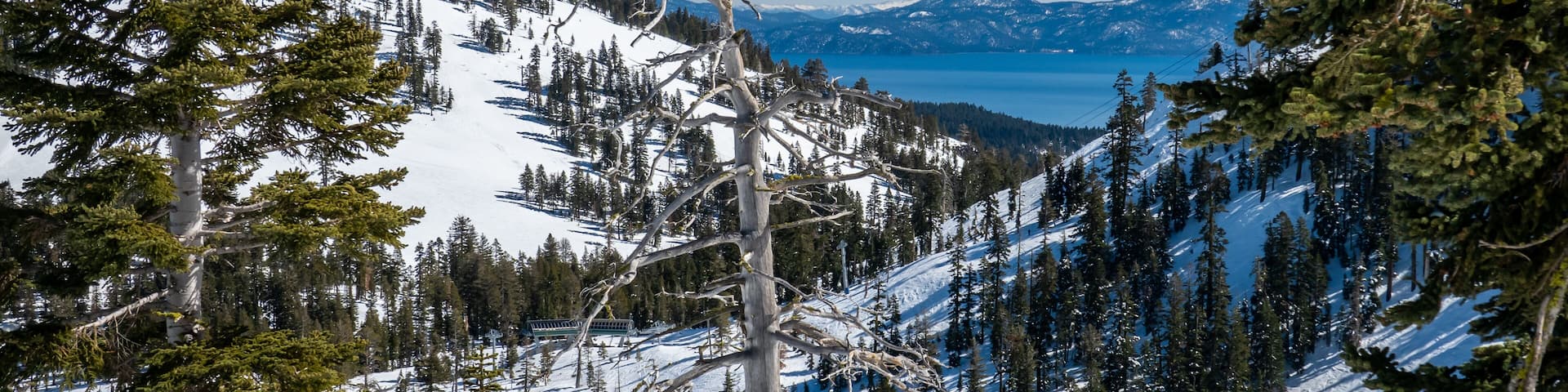 Scenic view of Lake Tahoe, in the Sierra Nevada Mountains in California, from the Alpine Meadows Ski Resort.