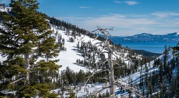 Scenic view of Lake Tahoe, in the Sierra Nevada Mountains in California, from the Alpine Meadows Ski Resort.