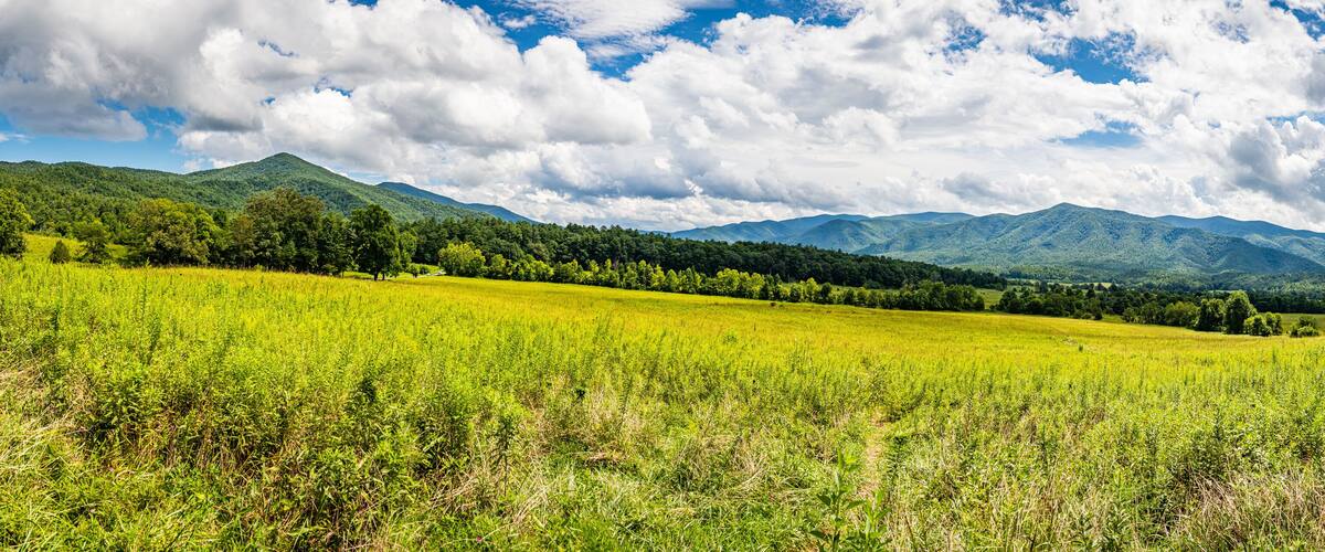 Cades Cove Great Smoky Mountains National Park