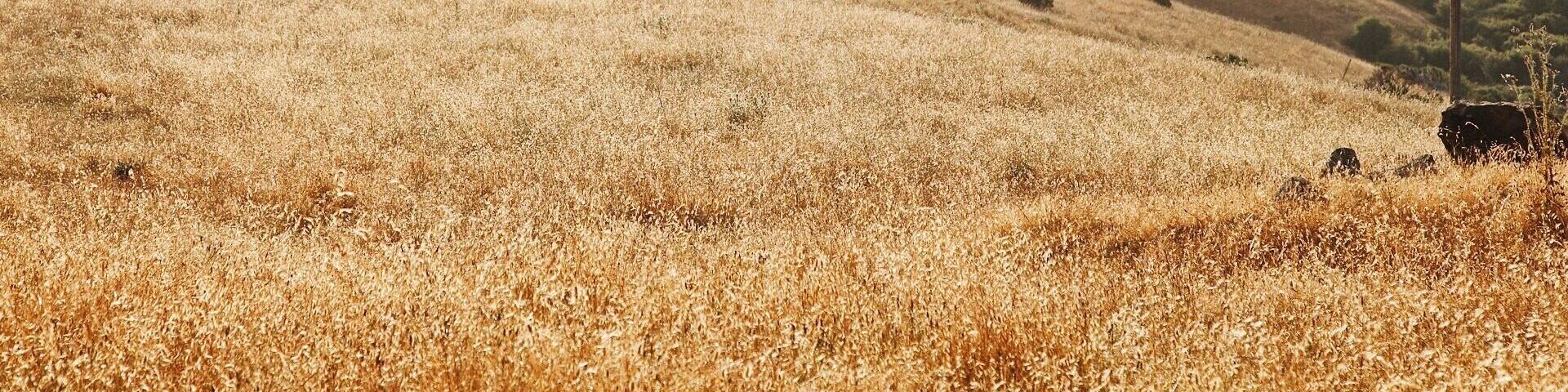 Early morning hiking