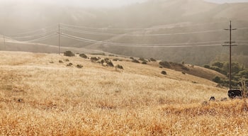 Early morning hiking