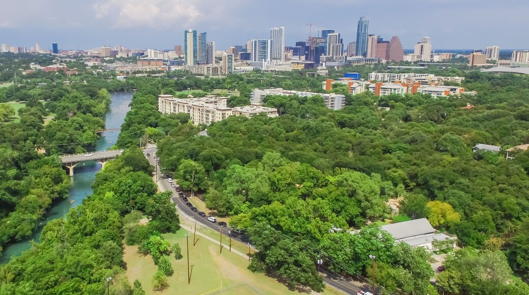 แทงเกิลวูด ฟอเรสต์