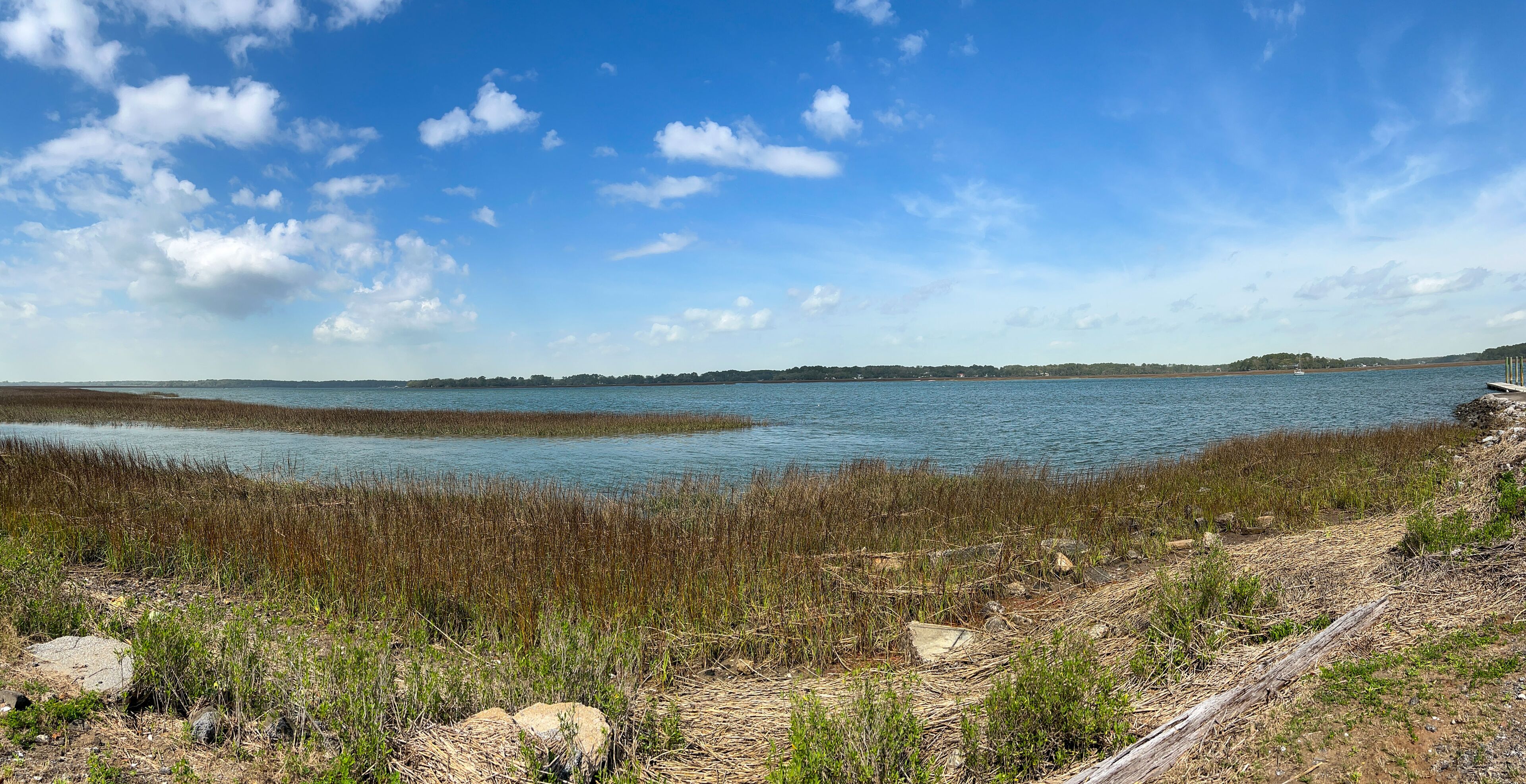 A marshy shore in Beaufort in South Carolina