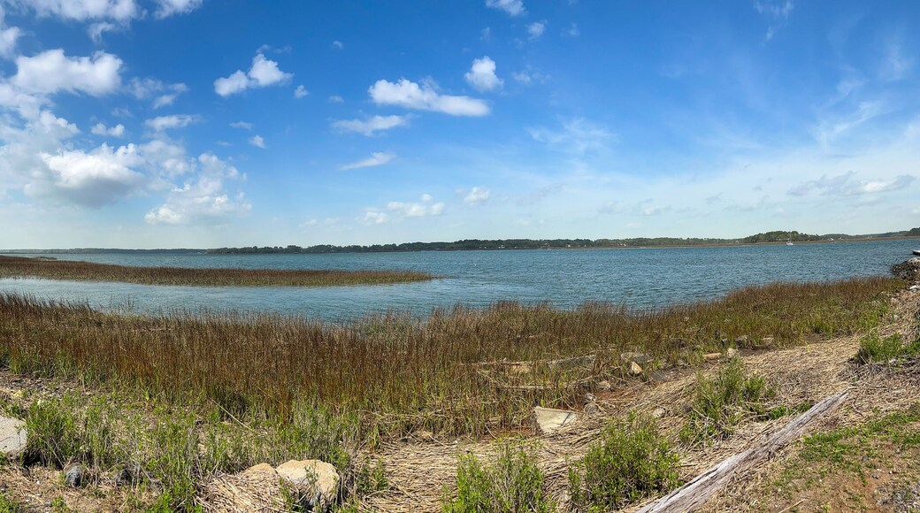 A marshy shore in Beaufort in South Carolina