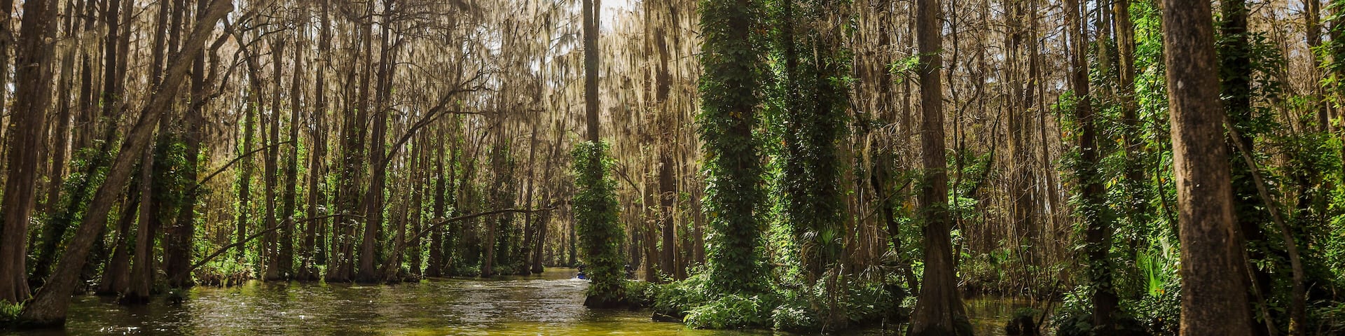 Dora Canal, which has been described as "The most beautiful mile of water in the world." Lake Eustis