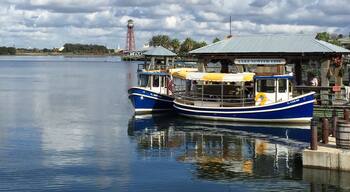 Beautiful Day in Central Florida