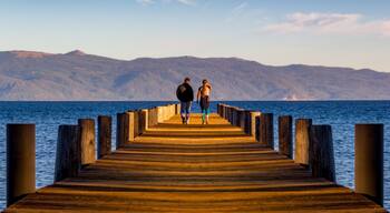 คาร์เนเลียน วูดส์