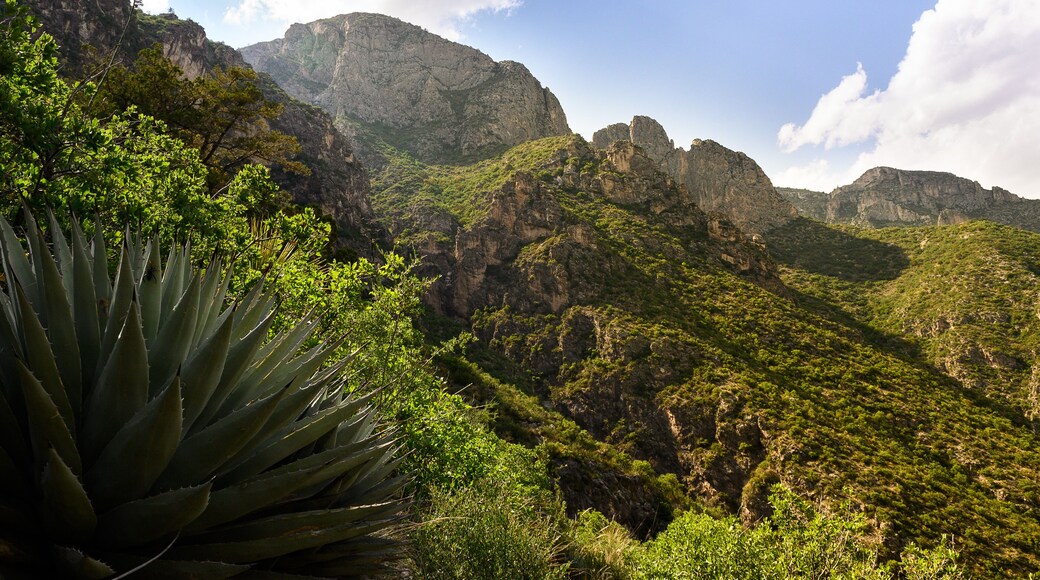McKittrick Canyon, looking northwest