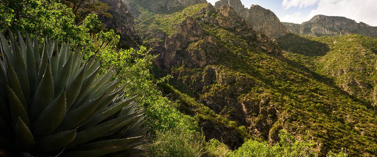 McKittrick Canyon, looking northwest