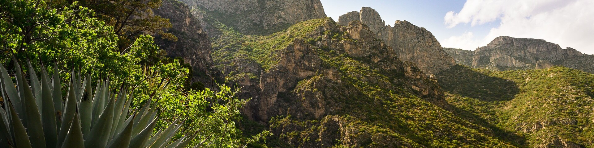 McKittrick Canyon, looking northwest