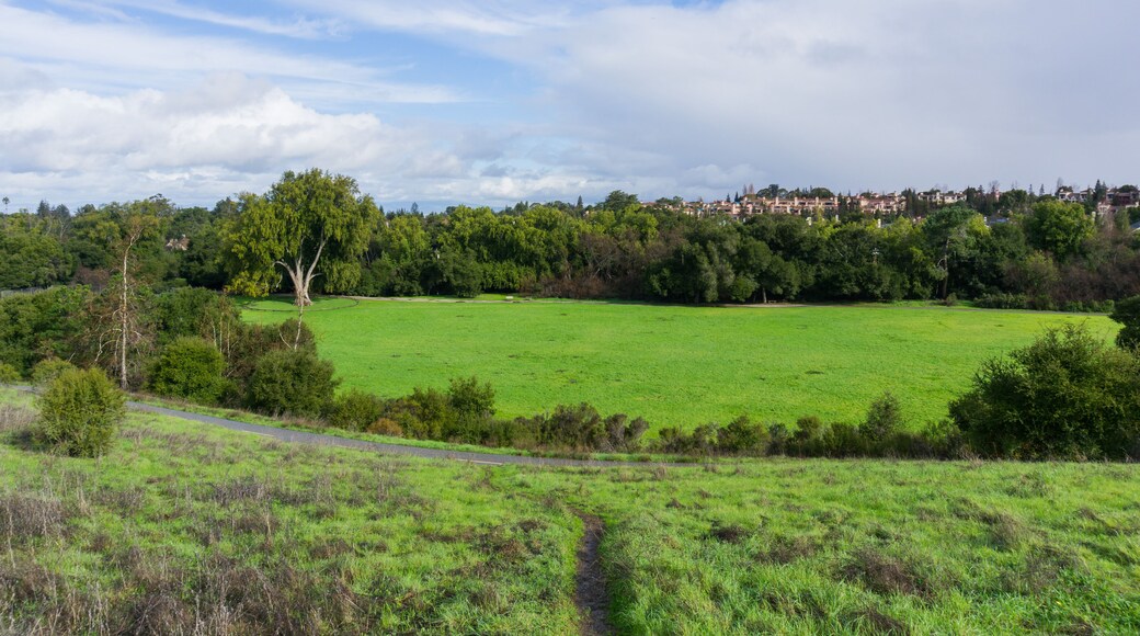 Panoramic view in Rancho San Antonio county park on a stormy day, south San Francisco bay, California