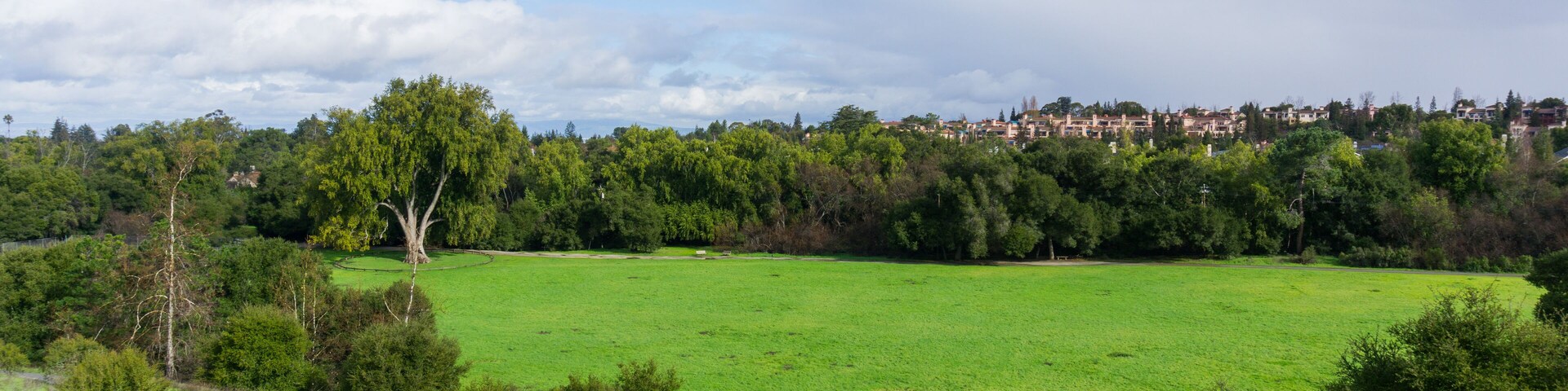 Panoramic view in Rancho San Antonio county park on a stormy day, south San Francisco bay, California