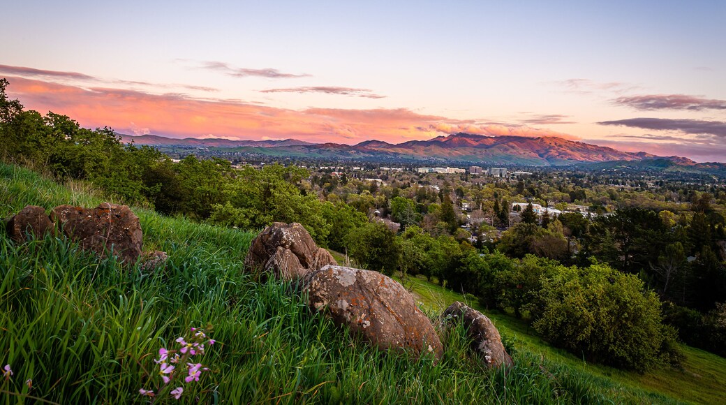 Dinosaur Hill Park at Sunset