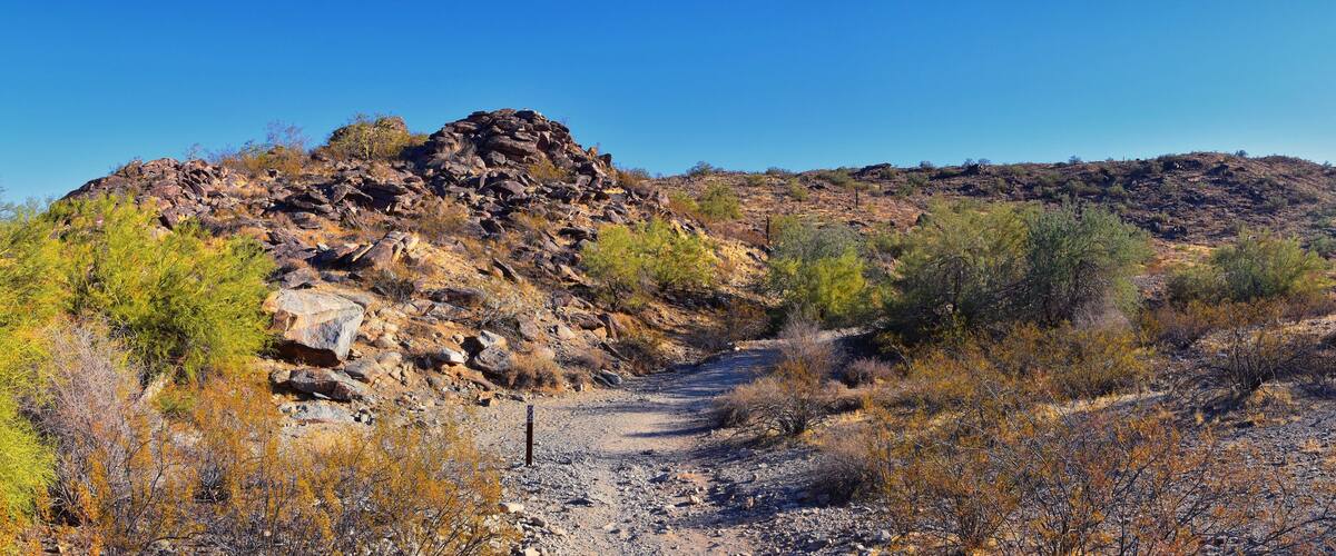 South Mountain Park and Preserve, Pima Canyon Hiking Trail, Phoenix, Southern Arizona desert. United States.