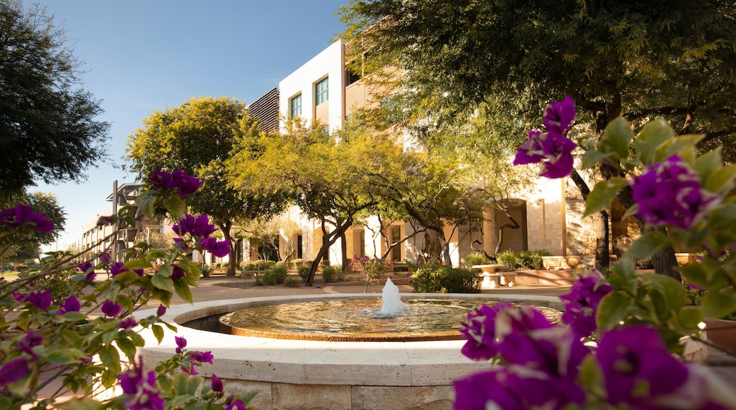Surprise, Arizona, USA - January 4, 2022: Afternoon sunlight shines on the public city Civic Center and City Hall of Surprise, Arizona.