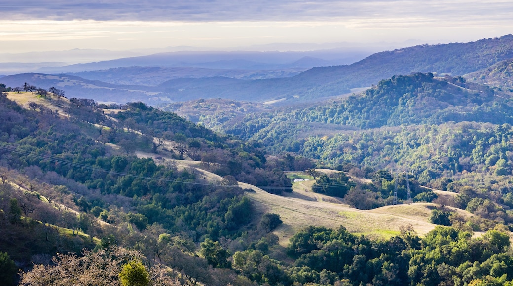 Landscape in Joseph Grant County Park on a cloudy day, San Jose, south San Francisco bay area, California