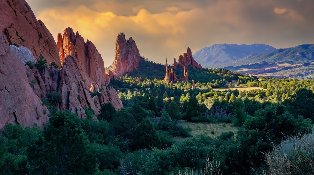 บรอดมัวร์