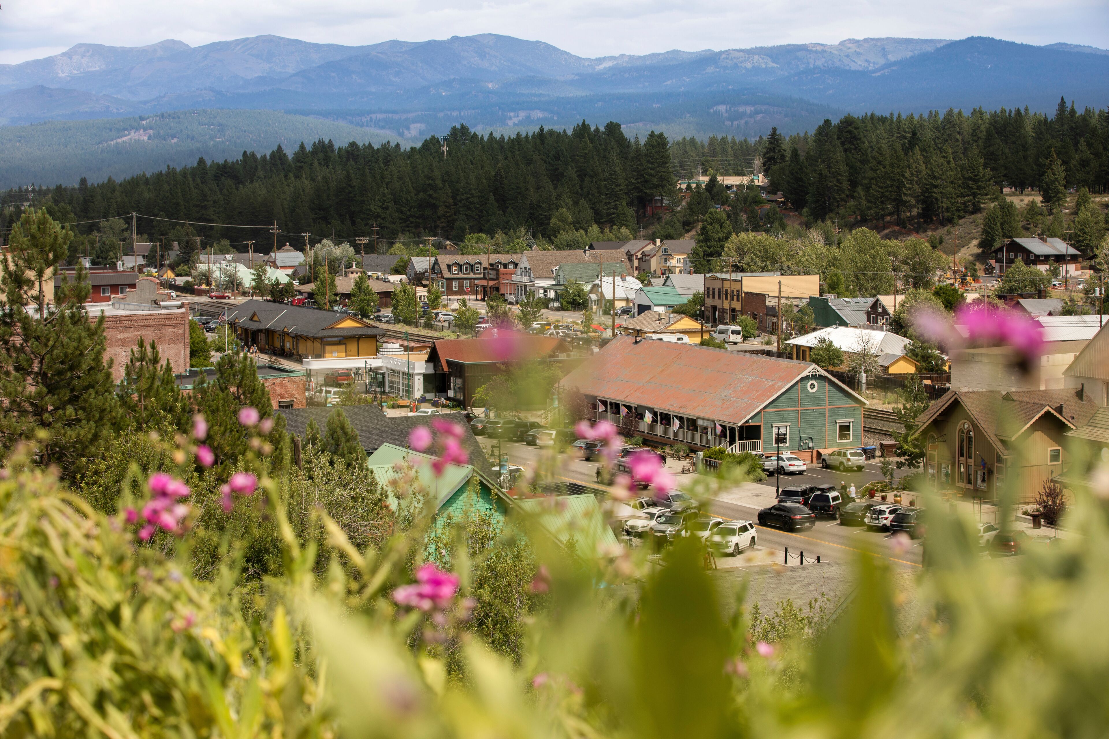 Beautiful pink flowers frame the historic gold rush era architecture of downtown Truckee, California, USA.