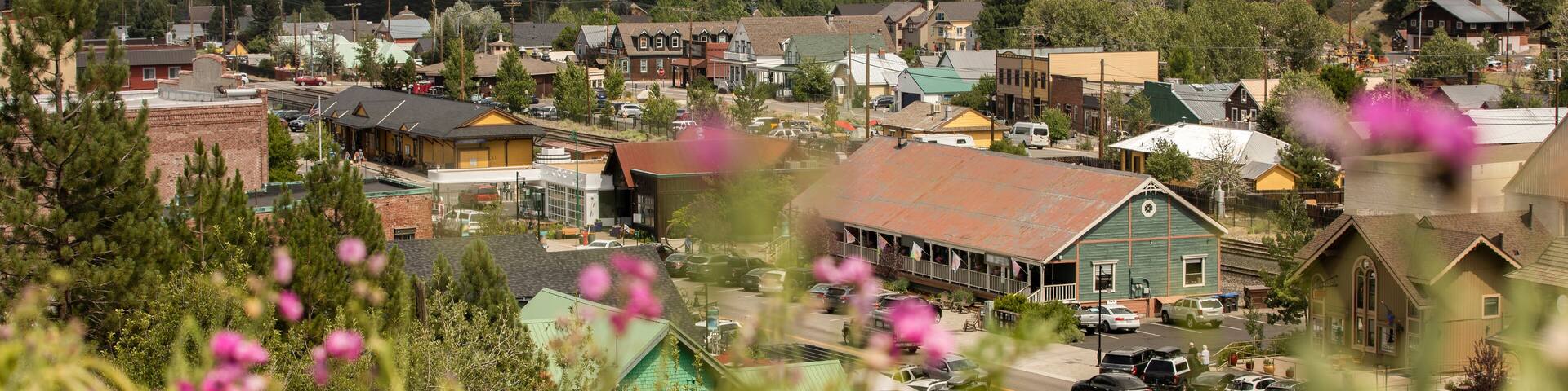 A town with mountains in the background, surrounded by greenery and buildings.