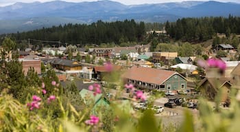 Stadtzentrum Truckee