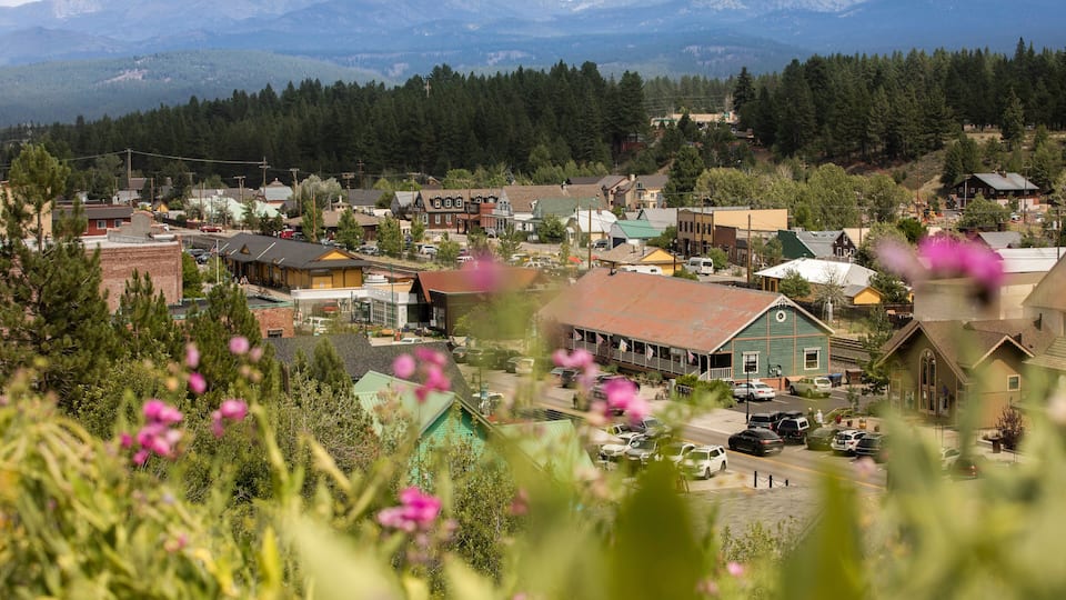 Beautiful pink flowers frame the historic gold rush era architecture of downtown Truckee, California, USA.