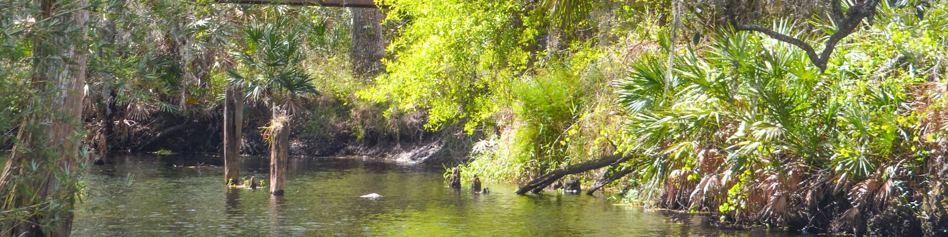 A bridge over Shingle Creek in the Shingle Creek Regional Park, Osceola County, Kissimmee, Florida