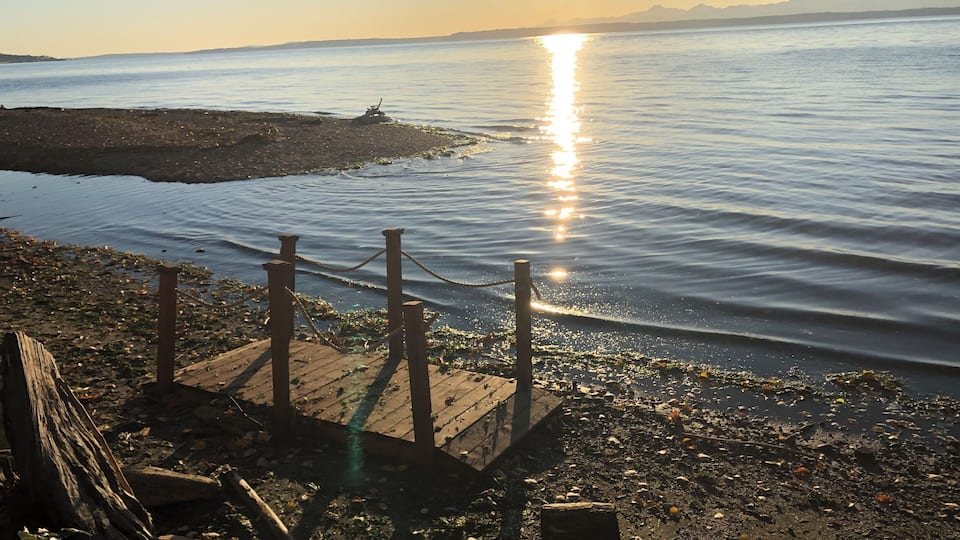 Beautiful sunset this evening. Perfect escape from the city.