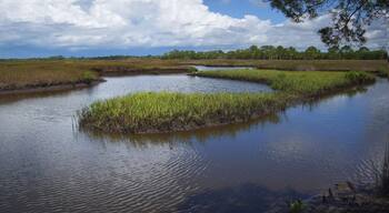 Florida Crystal River, Cedar Key