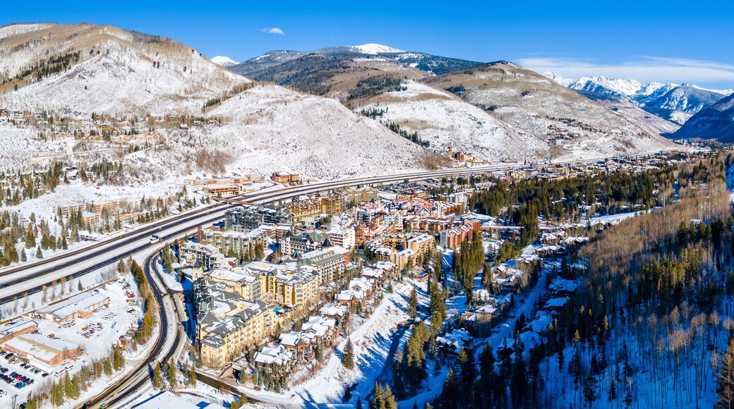 ์ฑ๊ธํธ๋ฆฌ