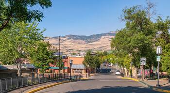 Distrito histórico de Siskiyou-Hargadine