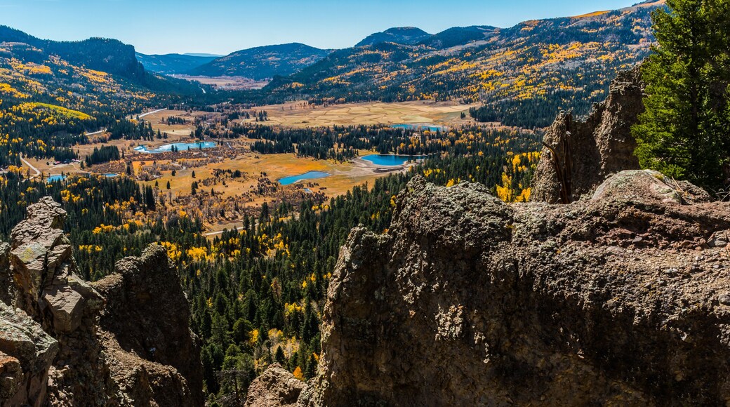 พาโกซา ฮิลล์ส