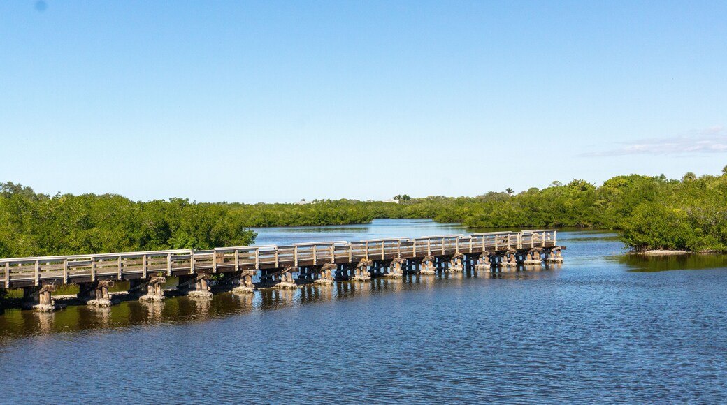 روتوندا ساندز