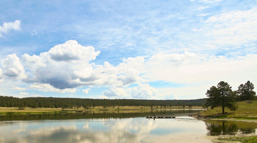 เอเวอร์กรีน เอสเตทส์