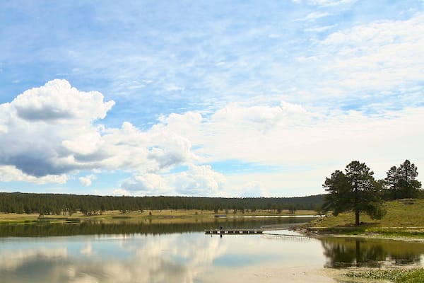 A Luna Lake Panorama, White Mountains, Arizona