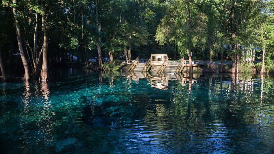 Wooden staircase going down in the turquoise water in a lagoon of Ginnie Springs. Cypress forest in Santa Fe river right side