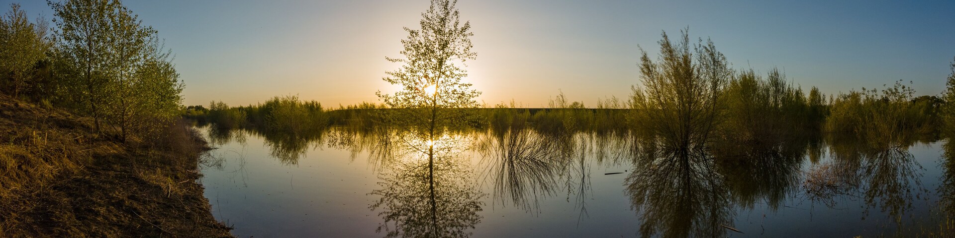 Panorama at sunset on levee of Sacramento river